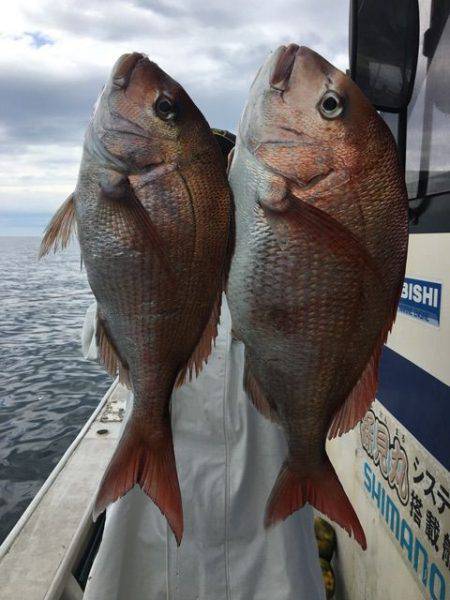 龍宮丸 釣果