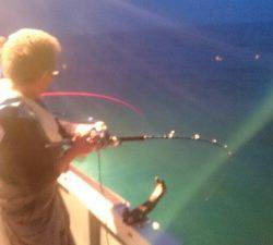 IDATEN(イダテン) 釣果