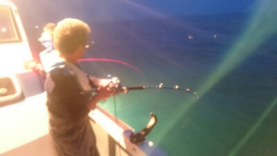 IDATEN(イダテン) 釣果