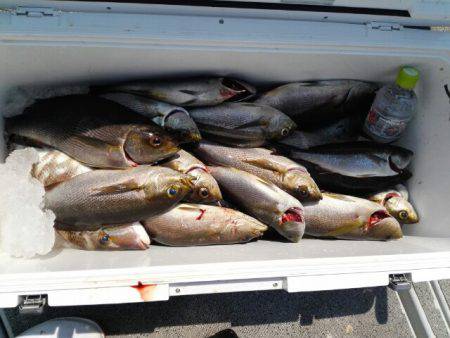 第二大福丸 釣果