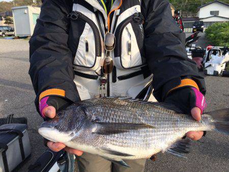 由良渡船 釣果