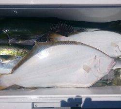 IDATEN(イダテン) 釣果