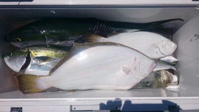 IDATEN(イダテン) 釣果