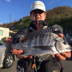 由良渡船 釣果