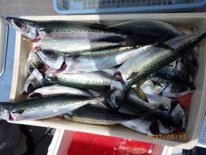 石川丸 釣果