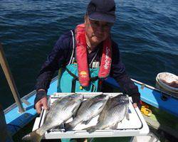 久里浜黒川本家 釣果