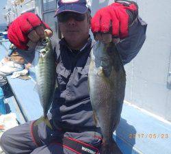 石川丸 釣果