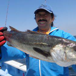 浜新丸 釣果