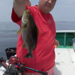 第三むつりょう丸 釣果