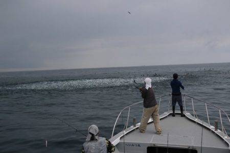 へいみつ丸 釣果
