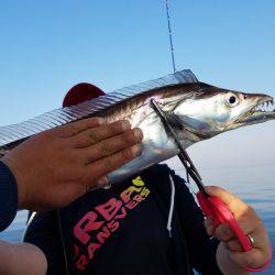 遊漁船 ニライカナイ 釣果