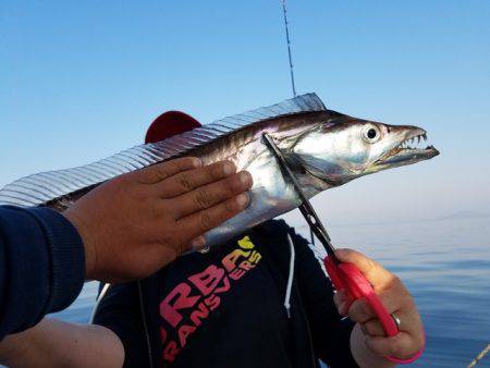 遊漁船 ニライカナイ 釣果