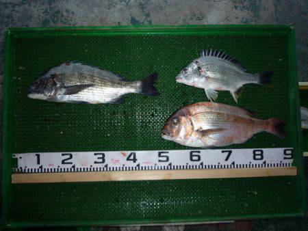 海山フィッシングセンター 釣果