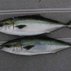 へいみつ丸 釣果