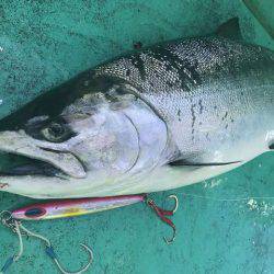 広進丸 釣果