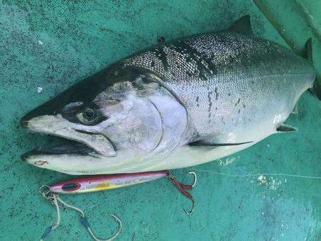 広進丸 釣果