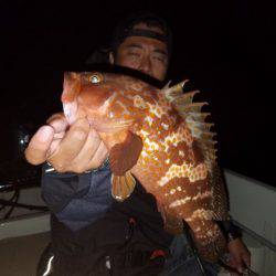 Magic(マジック) 釣果