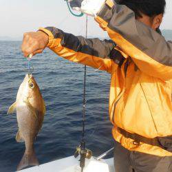 開進丸 釣果