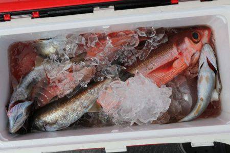 へいみつ丸 釣果