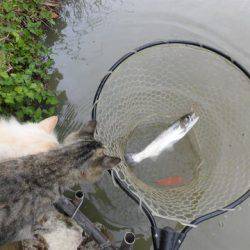 OLAHO　FISHING SPOT 釣果