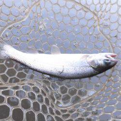 OLAHO　FISHING SPOT 釣果