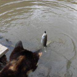 OLAHO　FISHING SPOT 釣果