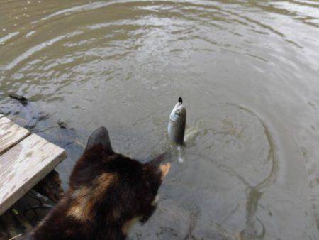 OLAHO　FISHING SPOT 釣果…