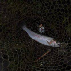 OLAHO　FISHING SPOT 釣果