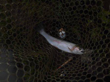 OLAHO　FISHING SPOT 釣果…