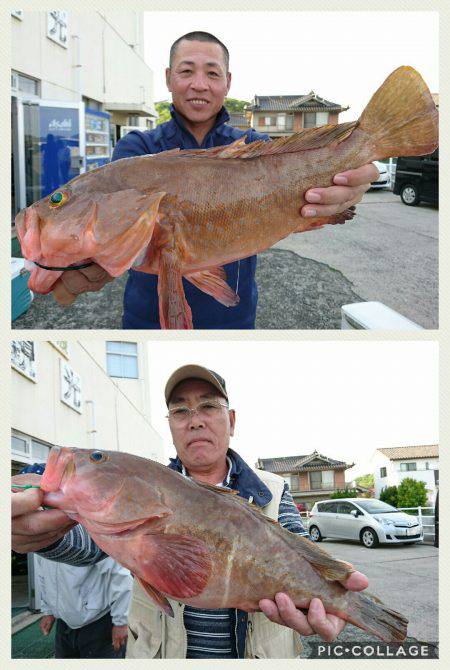 桑田観光 釣果