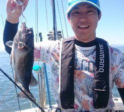 IDATEN(イダテン) 釣果