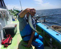 久里浜黒川本家 釣果