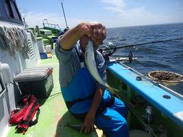 久里浜黒川本家 釣果