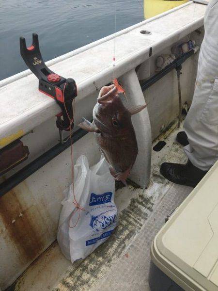龍宮丸 釣果