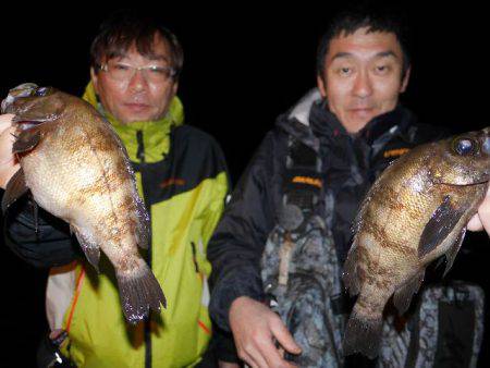 TOPGUN名古屋 釣果