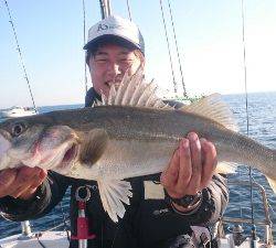 IDATEN(イダテン) 釣果