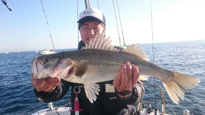 IDATEN(イダテン) 釣果