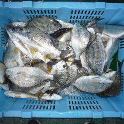 海山フィッシングセンター 釣果