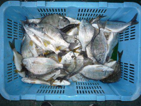 海山フィッシングセンター 釣果