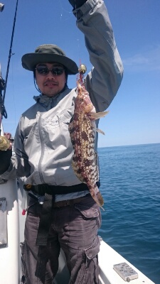 IDATEN(イダテン) 釣果