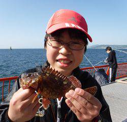平磯海づり公園　釣果