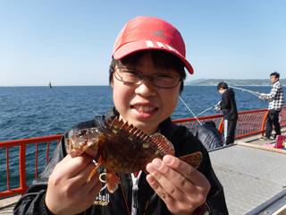 平磯海づり公園　釣果
