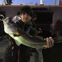 シーマジカル 釣果