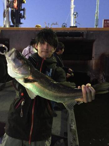 シーマジカル 釣果