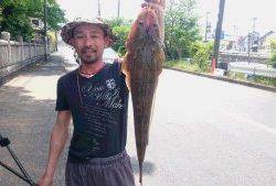 濱生丸 釣果