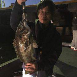 シーマジカル 釣果