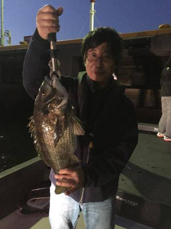 シーマジカル 釣果