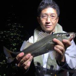 シーマジカル 釣果