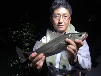 シーマジカル 釣果