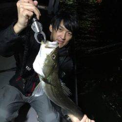 シーマジカル 釣果